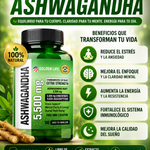 ASHWAGANDHA AMERICANO | ALTA CONCENTRACIÓN | 5500 mg | 100 Cápsulas